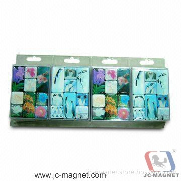 Resin Refrigerator Magnets